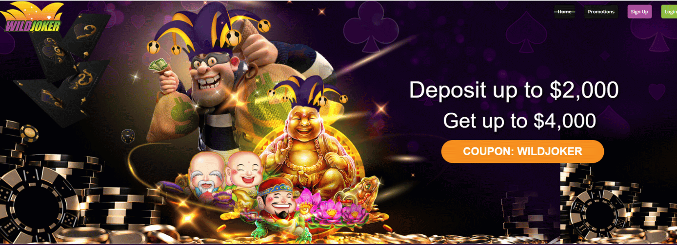 wild joker australia